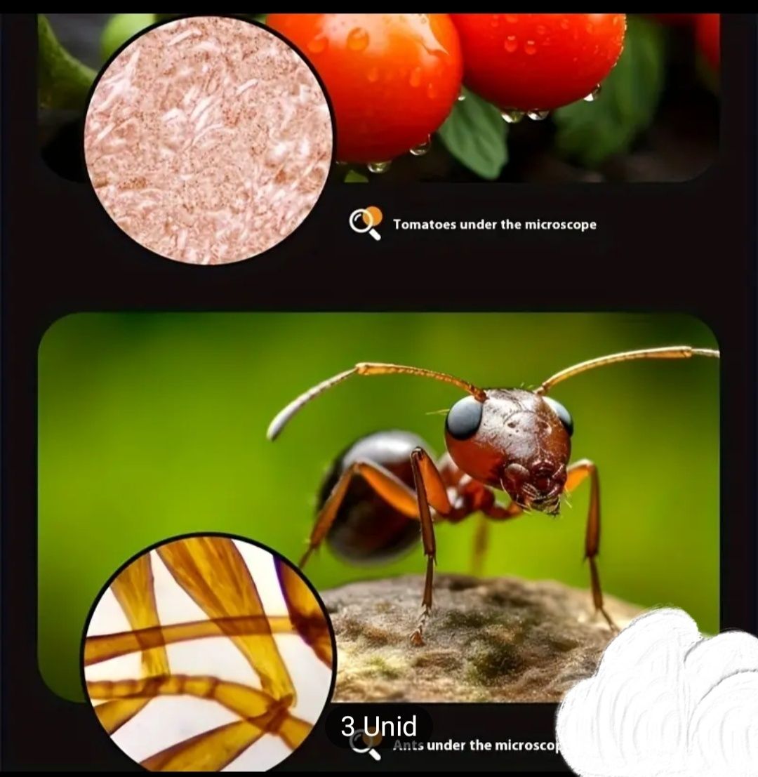 Microscópio portátil