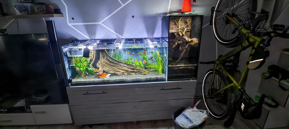 Akwarium optiwhite 120x45x50