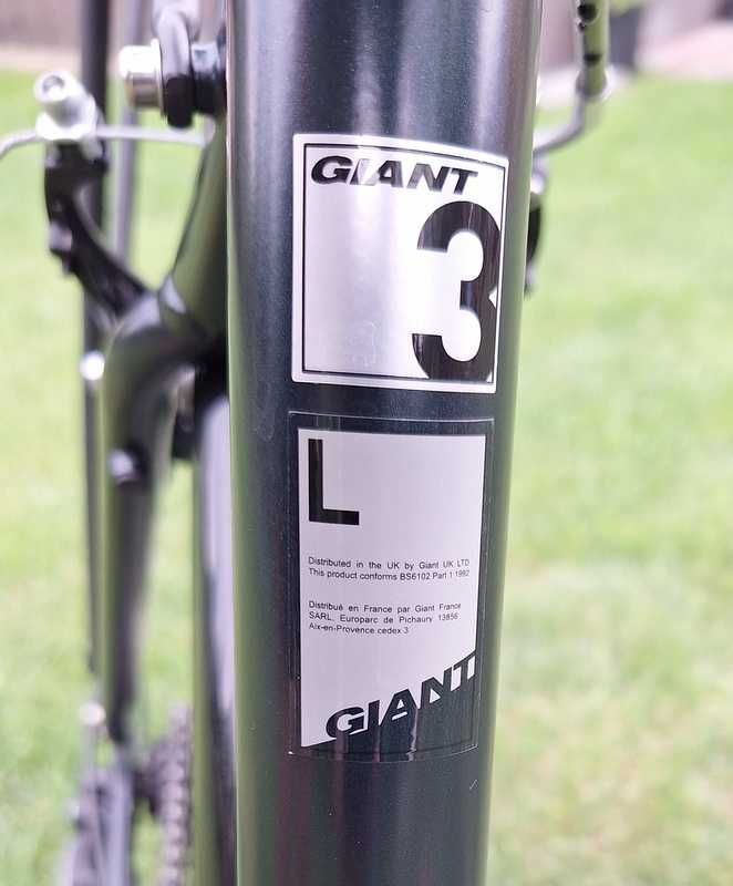Rower Giant Argento RS3