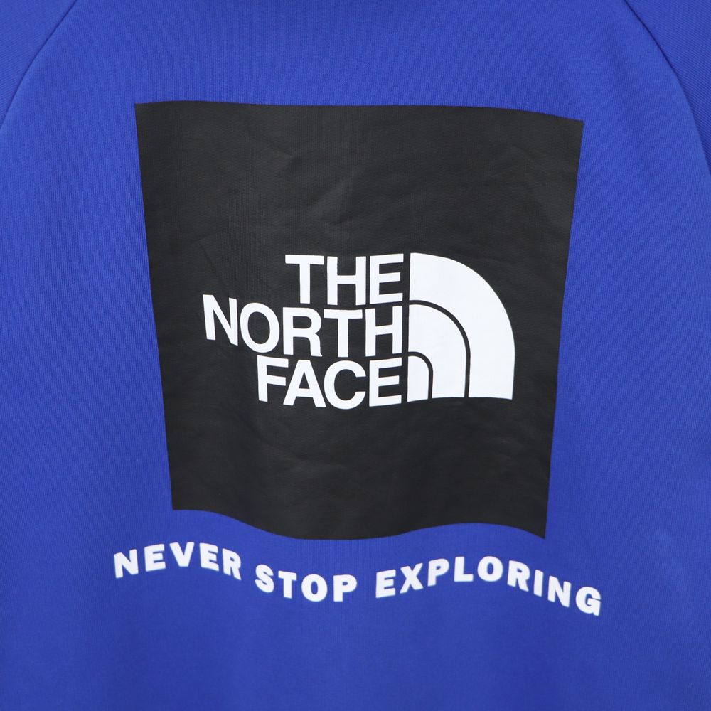 Чоловічий Худі The North Face