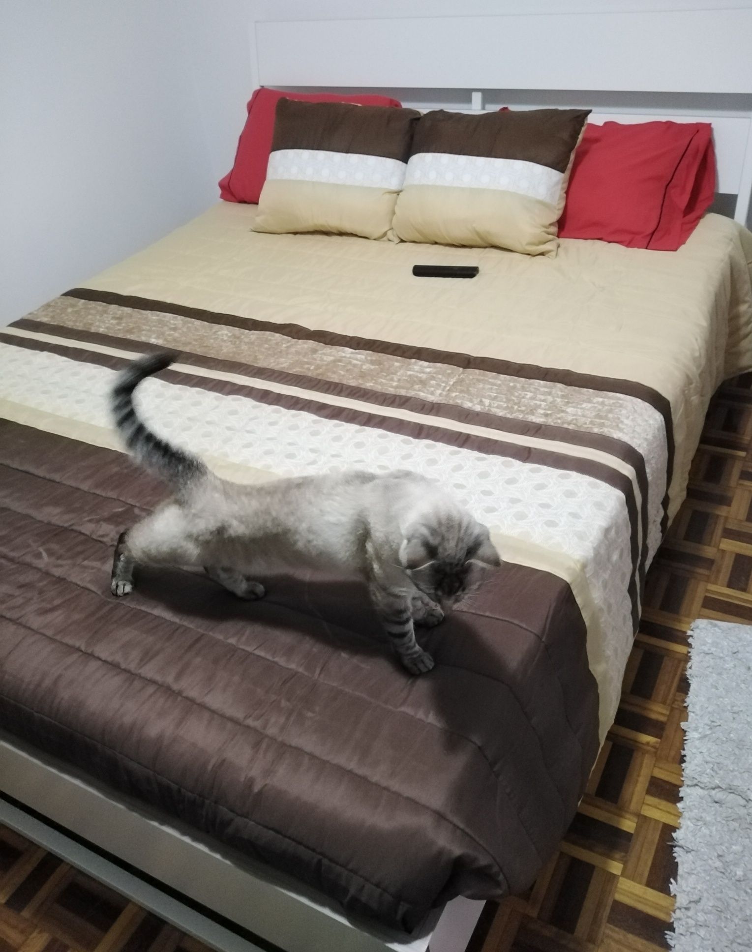 Vendo estrutura de Cama como Nova