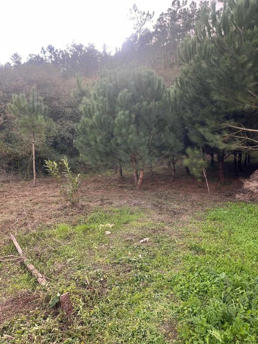 Terreno Rústico com 510 m² no Arrabal – Oportunidade Única!