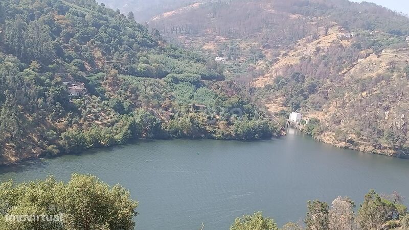 Terreno / Baião, Ancede e Ribadouro