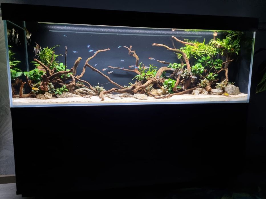 Akwarium zestaw Premium 280 l