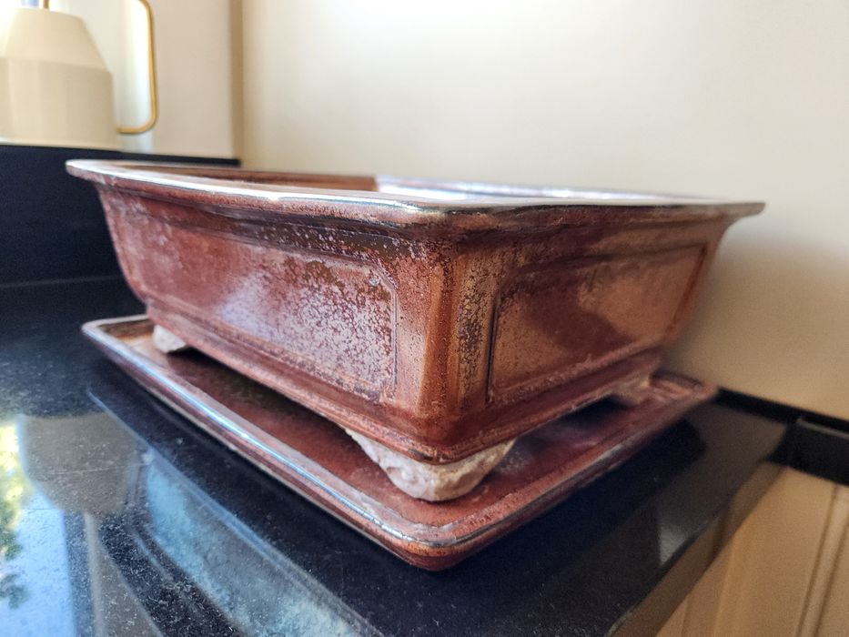 Vaso bonsai com prato