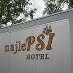 HOTEL DLA PSA- najlePSI HOTEL - Zabrze woj. śląskie