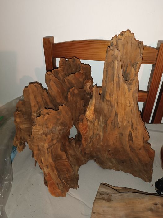 Raiz tronco decorativa