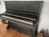 Pianino Wolfstein