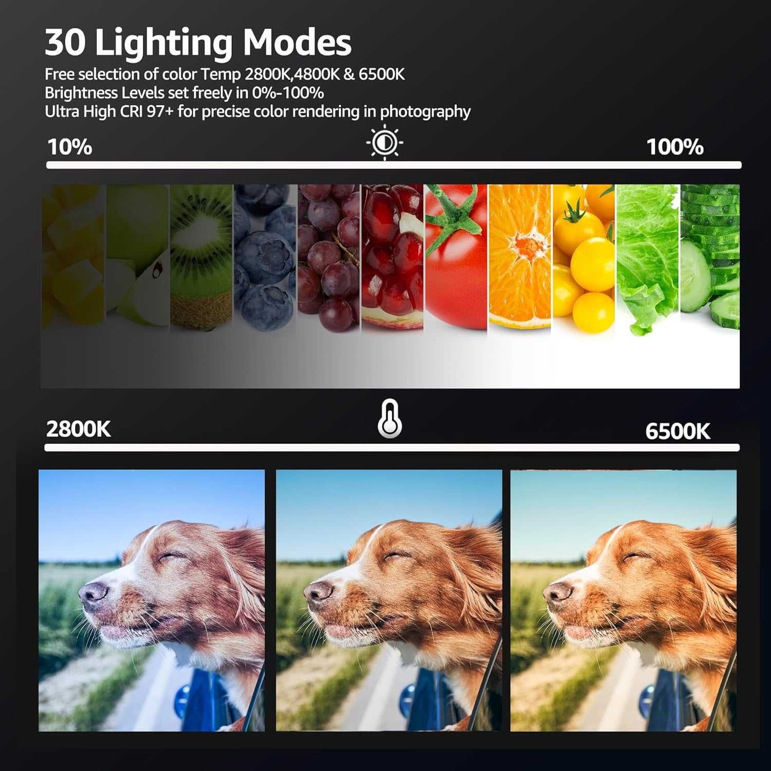 Zestaw 2 lamp wideo LED NiceVeedi Studio Light,
