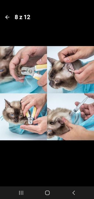 Zestaw dla kotka, kąpiel,pazury