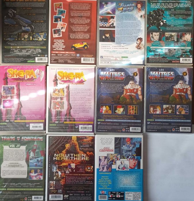 12x DVD anime manga FRANCUSKIE FOLIA, She-Ra, He-man i inne, lata 2000