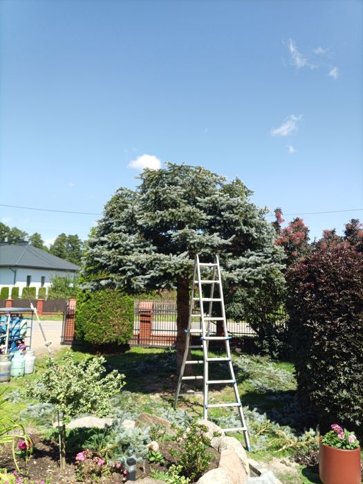 Pielęgnacja ogrodów