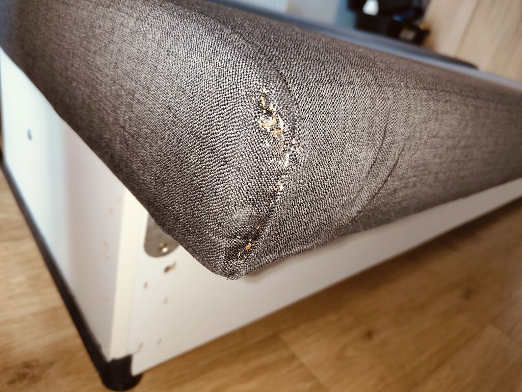 DDD usuwanie zwalczanie szerszeni os pluskiew dezynsekcja deratyzacja