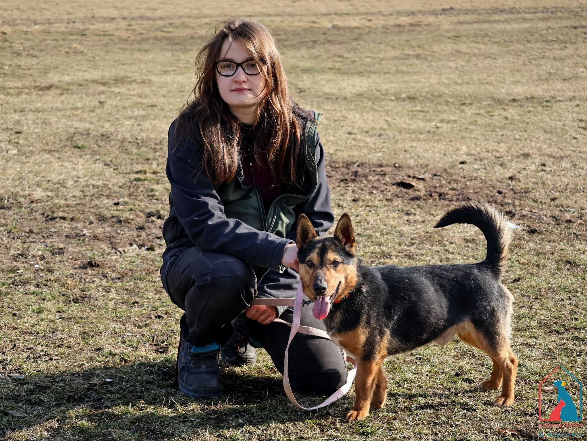 MŁODY, 13 kg, wesoły i towarzyski, lubi bawić się piłką, kocha ludzi