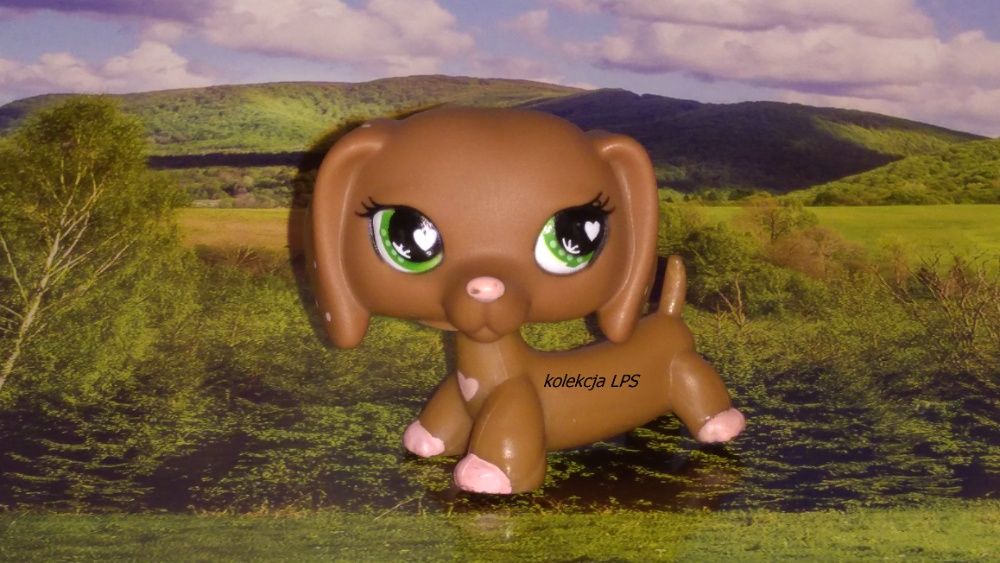 LPS Littlest Pet Shop jamnik #556 walentynkowy oryginalny pop oryginał