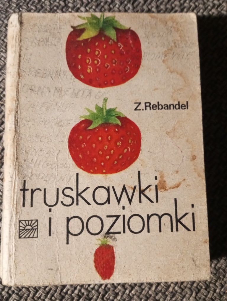 Truskawki i poziomki