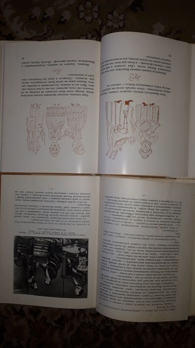 Учебники СССР и книги об искусстве..