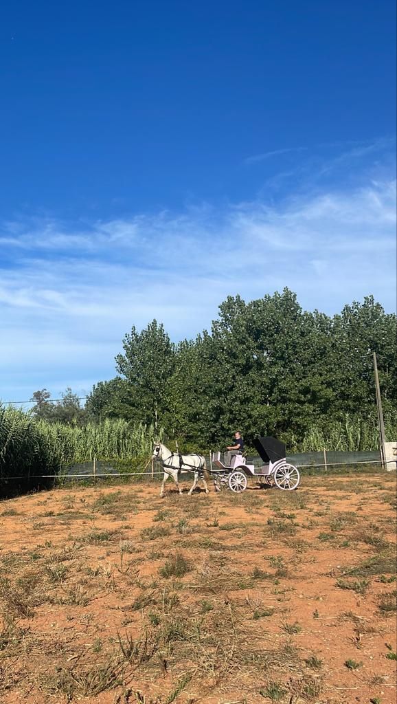Terreno com 5.000m2 dentro da cidade de Coimbra