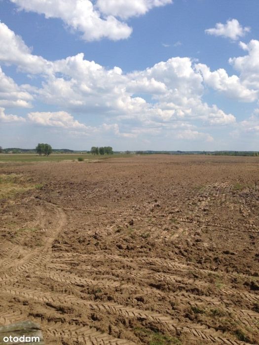 Atrakcyjna działka rolna 55 ha, Długie gm.Chociwel
