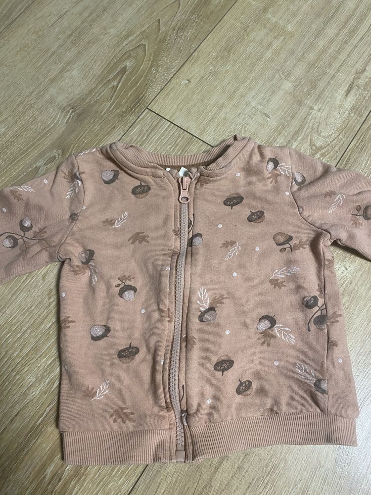 Bluza w żołędzie i liście, Pepco, 80