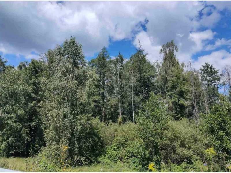 Земельна ділянка (5,0 га) - с. Березівка Житомирської обл.