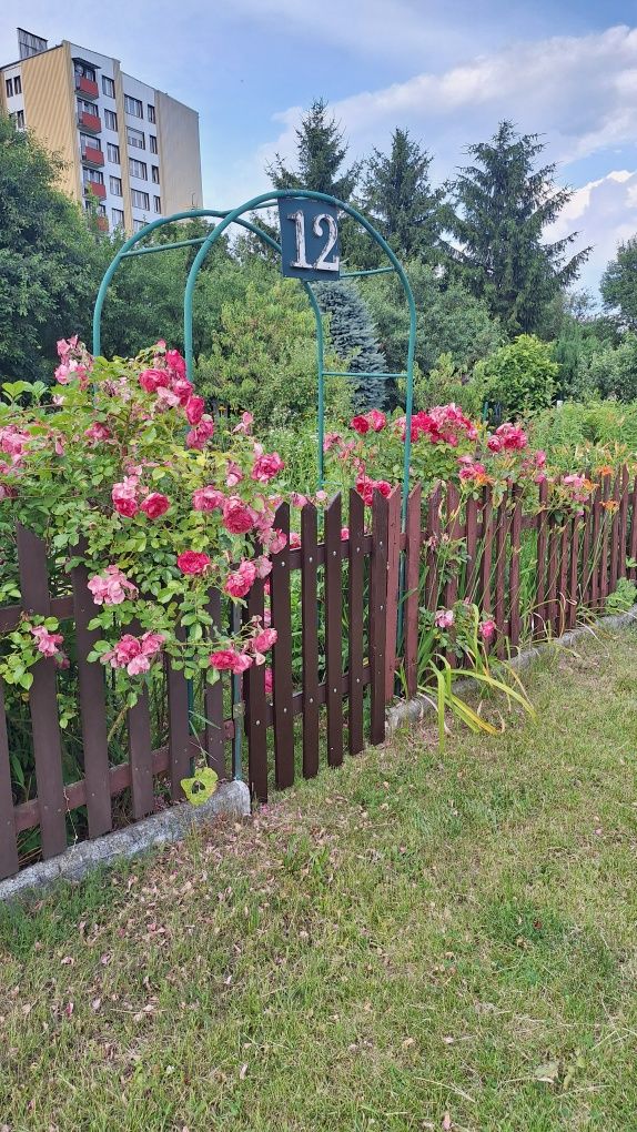 Działka ROD Piastowski LSM