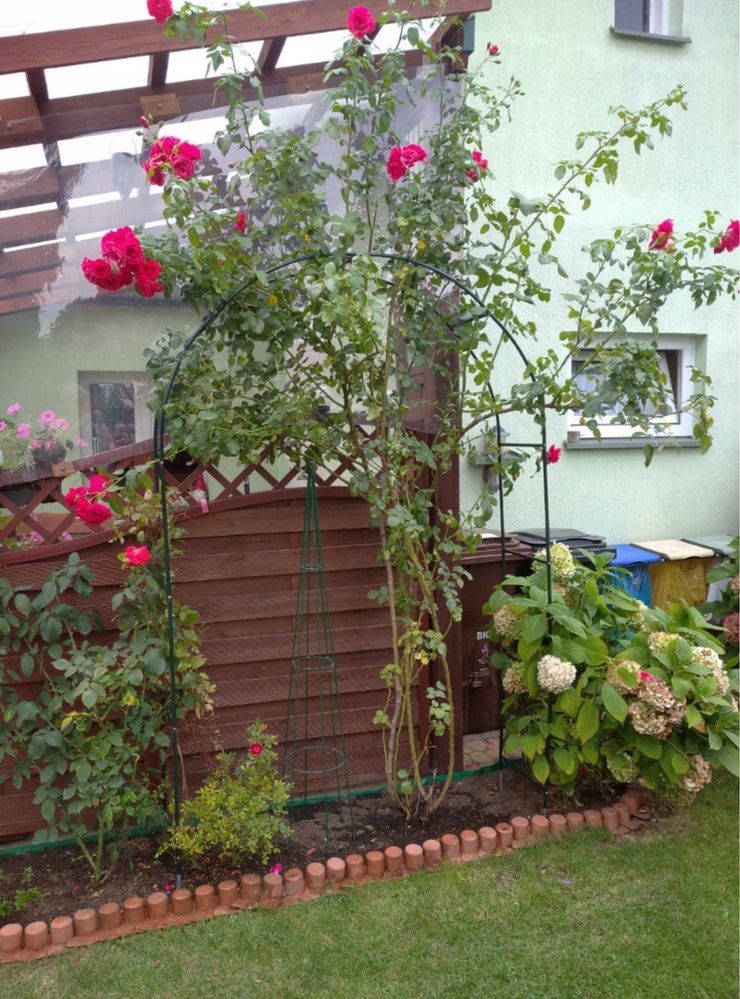 Pergola Ogrodowa Metalowa na Kwiaty Łuk 240x140 Uchwyt