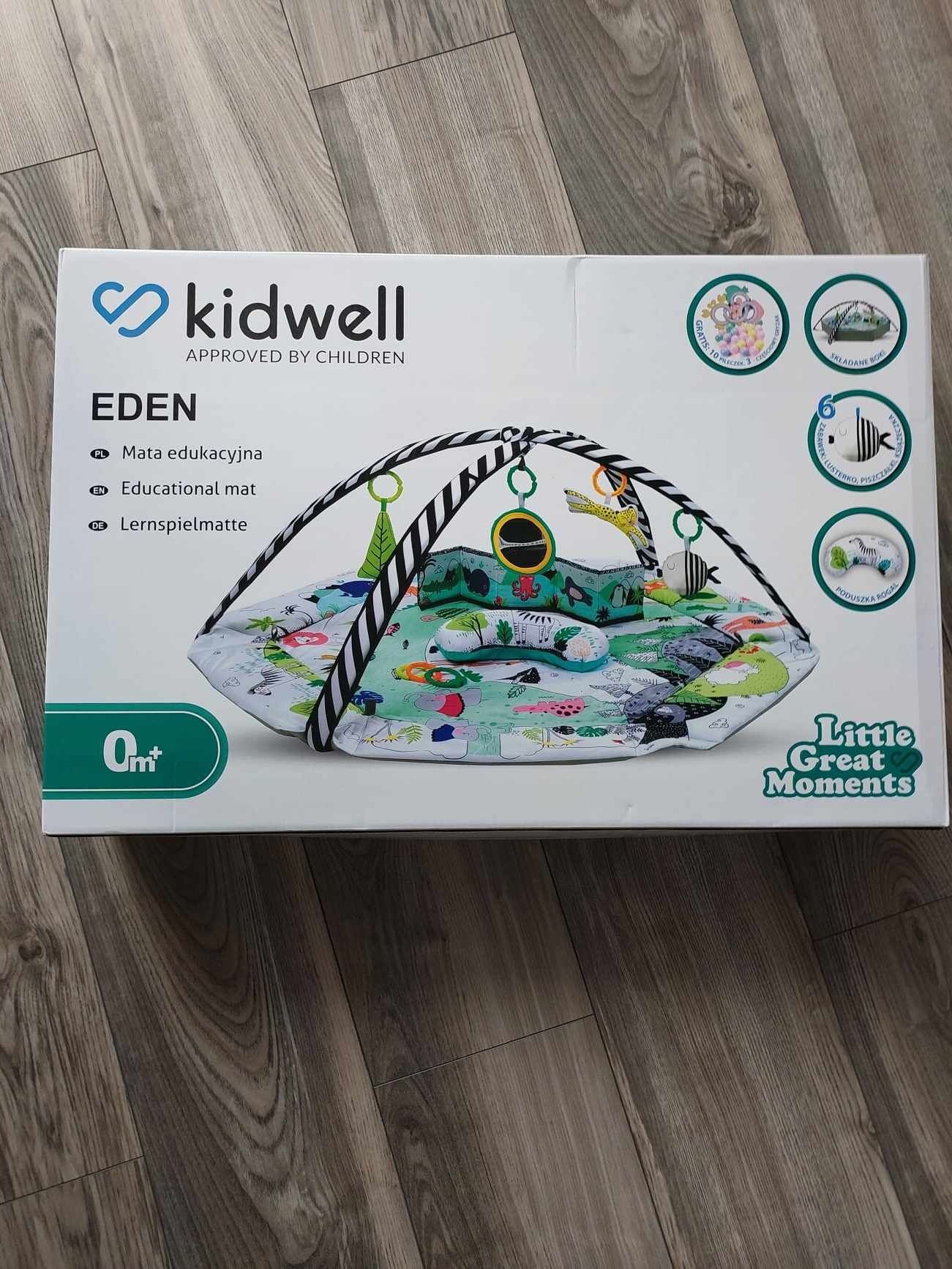 Mata edukacyjna firmy Kidweell