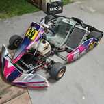 Gokart TM Racing 125cc 2t