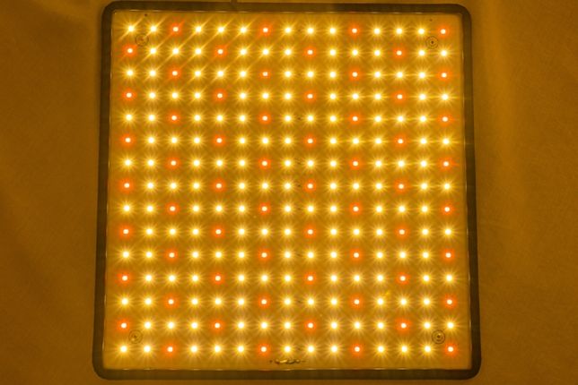 LED De Cultivo - 1000W - Espetro Completo - LED Grow Veg | Bloom