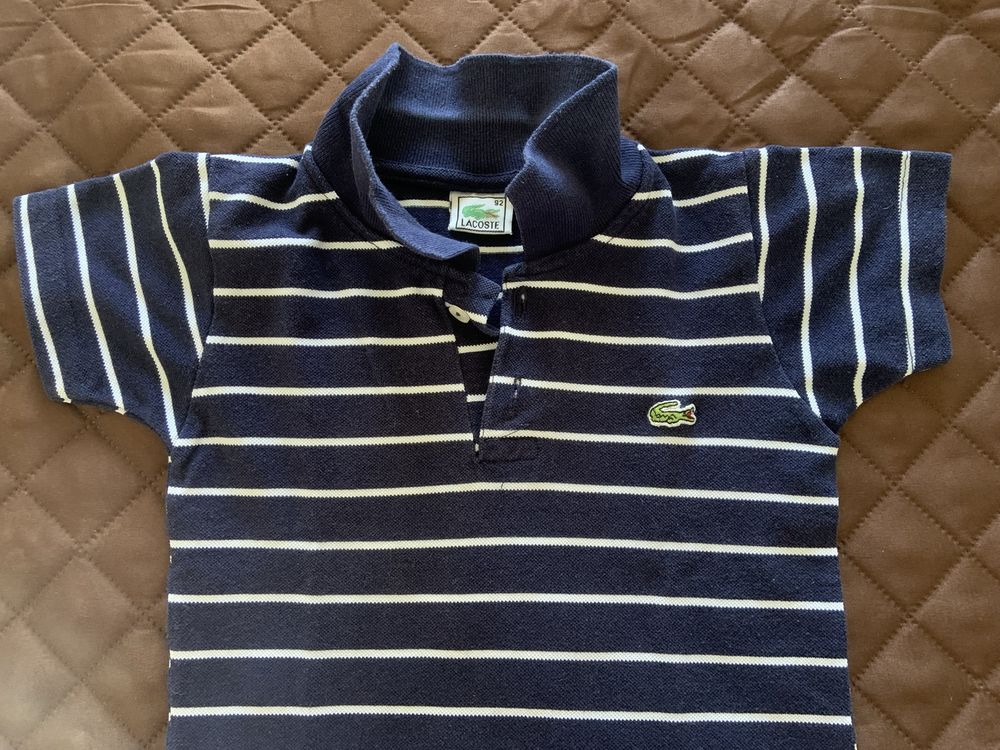 Polo menino 4 anos Lacoste