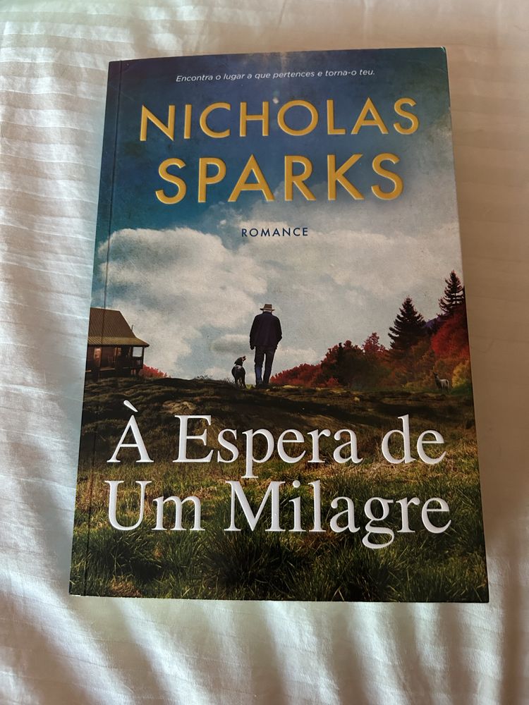 Livro vigilancia massiva + registo permanente NOVO