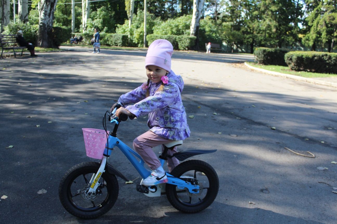 Дитячий велосипед Royal Baby Mgdino