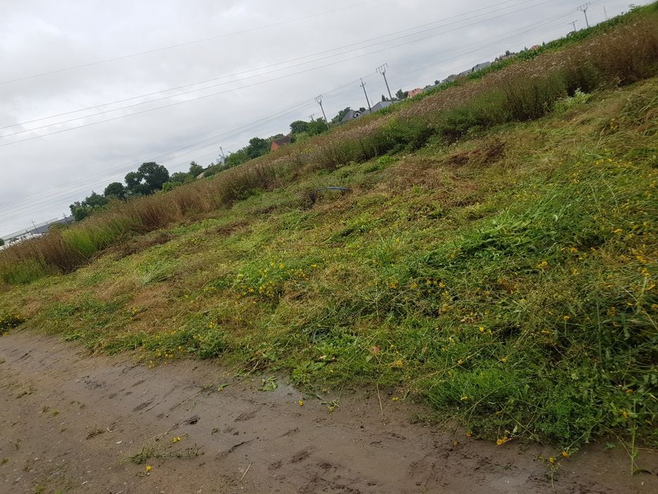 Usługi ogrodnicze / przycinanie krzewów, drzew , porządki posesji