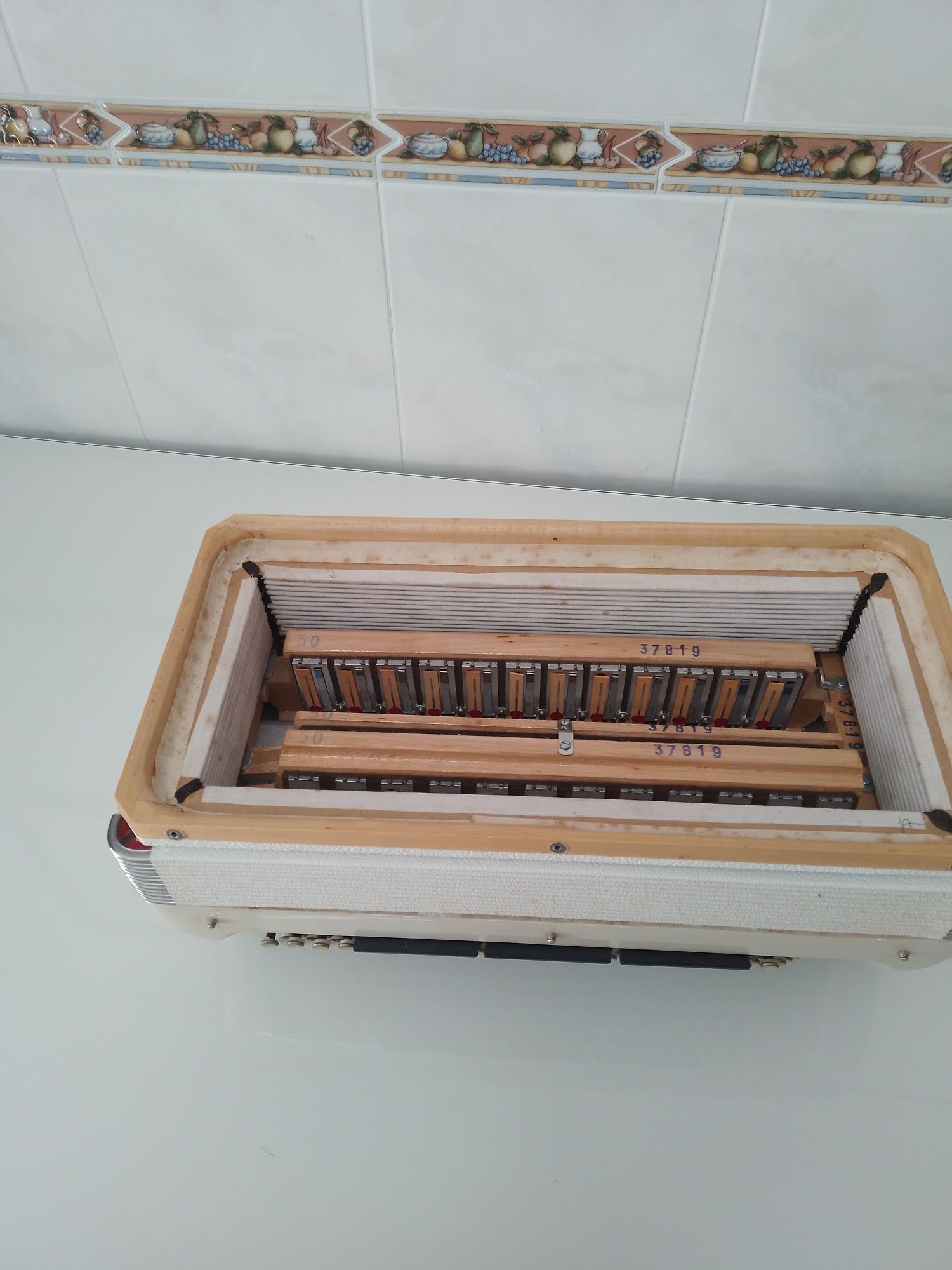 Acordeon/Acordeão  Cavagnolo