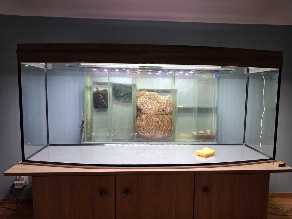 Sprzedam akwarium panoramiczne 450l z pełnym bogatym wyposażeniem.