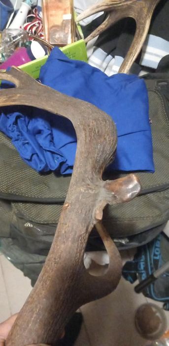 Super Mylkus jelenia