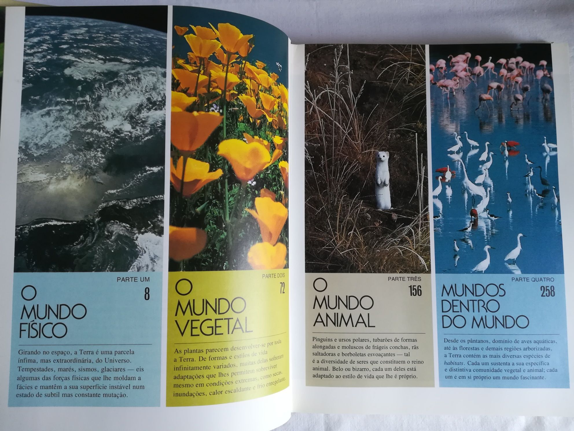 5 Livros Seleções do Reader's Digest