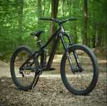 dartmoor thunderbird
