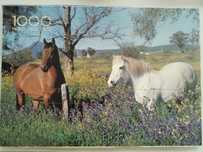 Obraz konie okładka z pudełka z puzzle 40 na 28 cm