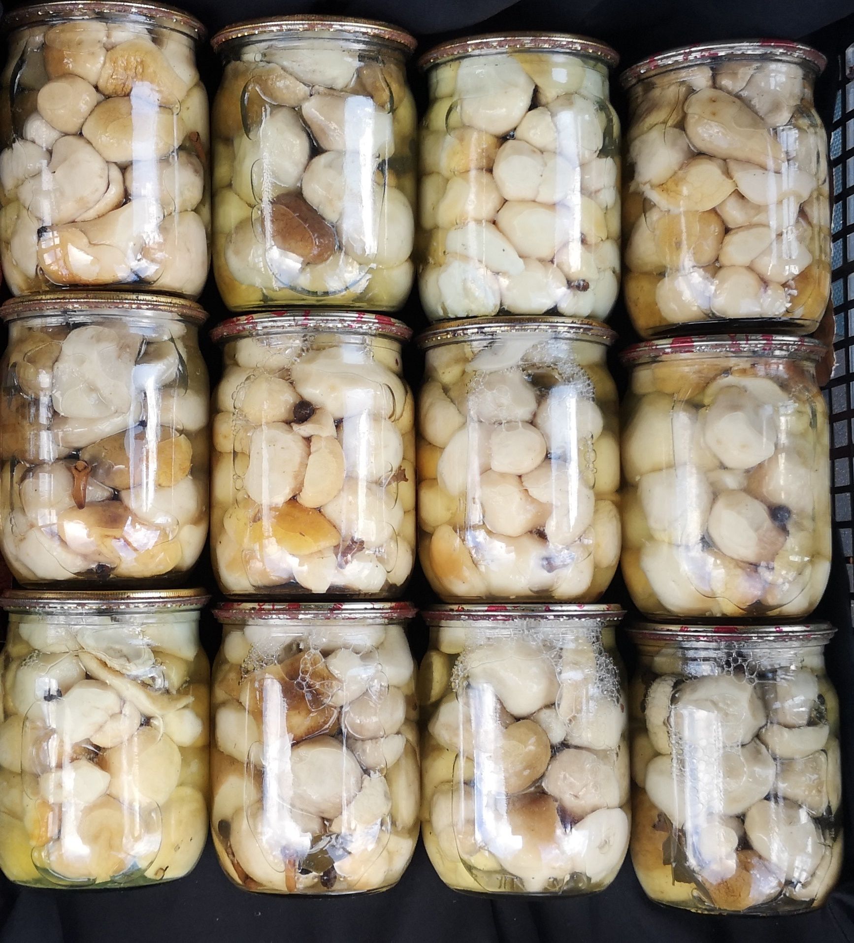 Лисички сушёные, маринованные белые грибы