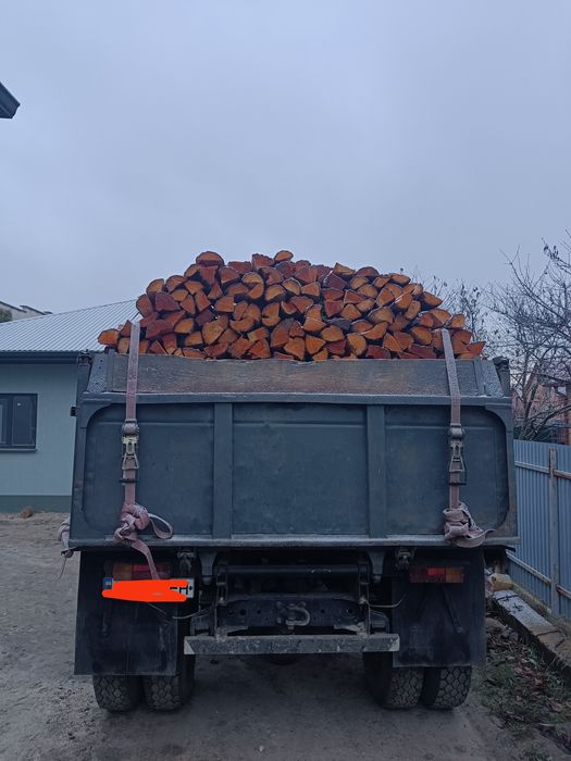 дрова різних порід