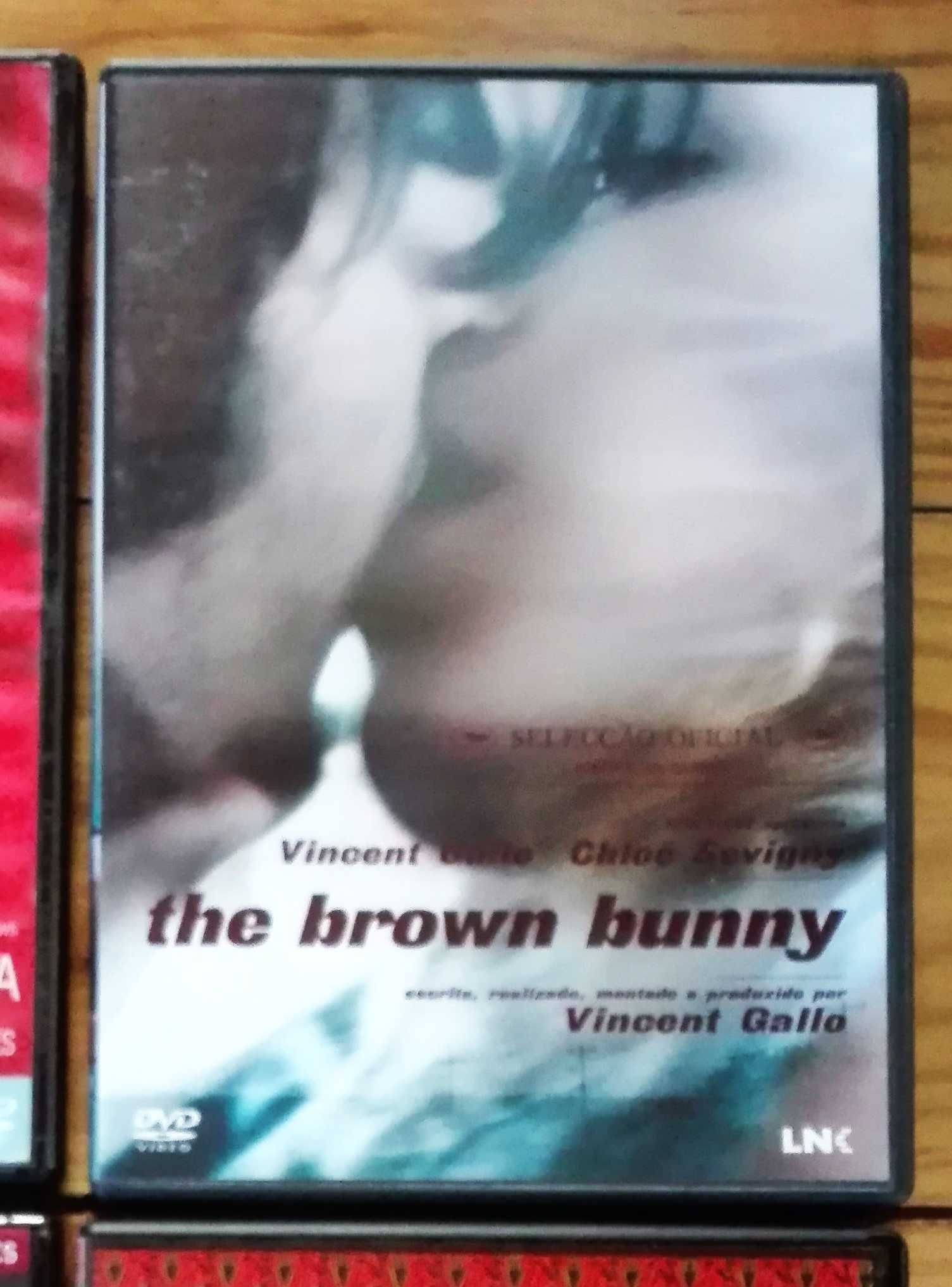 Filme DVD: The Brown Buny Uma boa mulher de Vincent Gallo Legendas PT