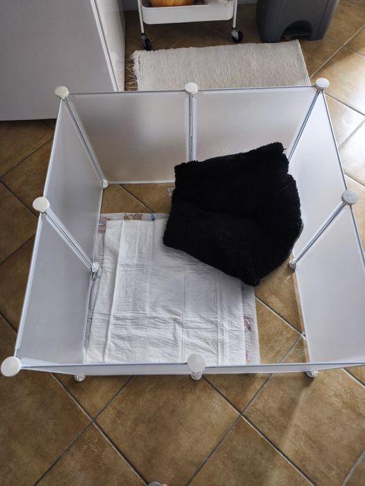 Parque de treino para cachorros