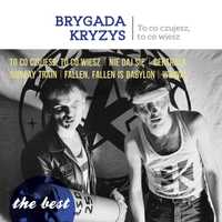 Brygada Kryzys - To co czujesz, to co wiesz Winyl