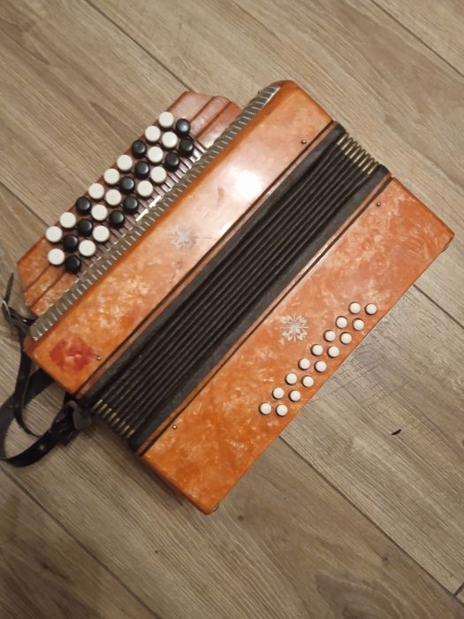 Akordeon guzikowy heligonka dla dziecka