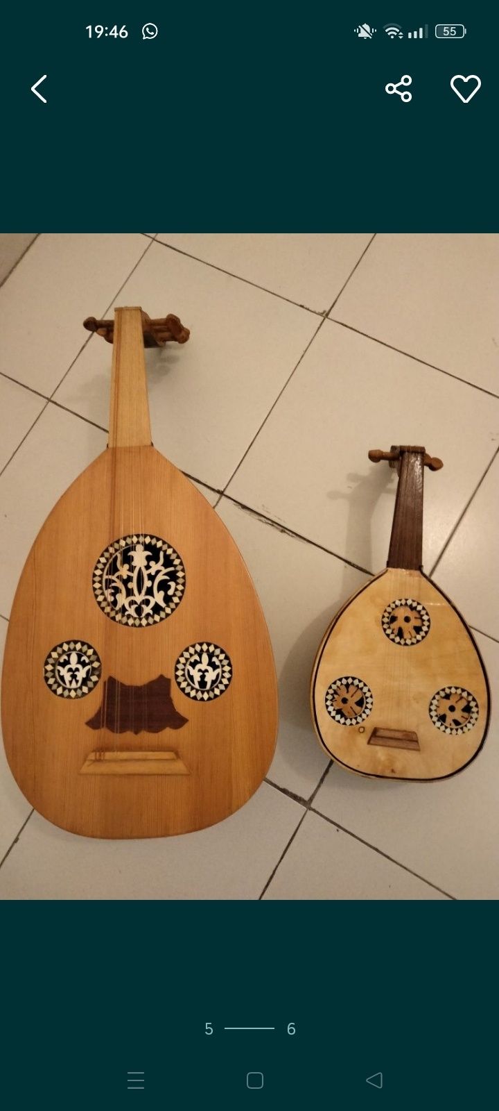 Violino Profissional e Alaúde/Oud