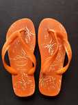 Havaianas originais  tam. 35/36