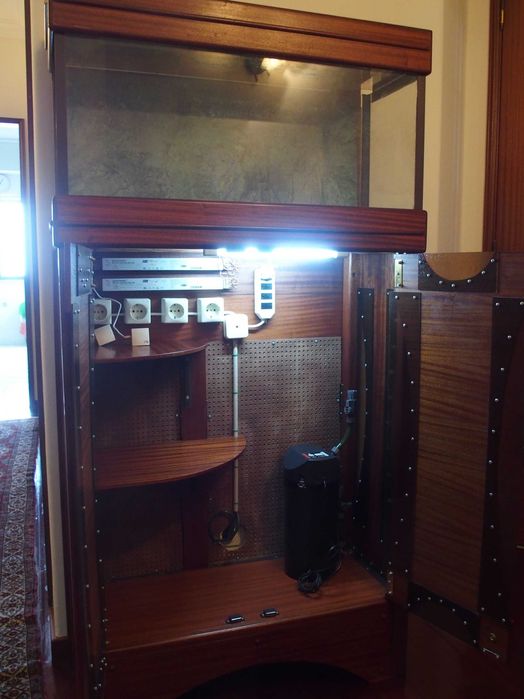 Venda de Aquário completo com filtros e móvel