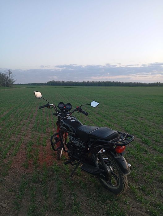 Мустанг мт 125- альфа